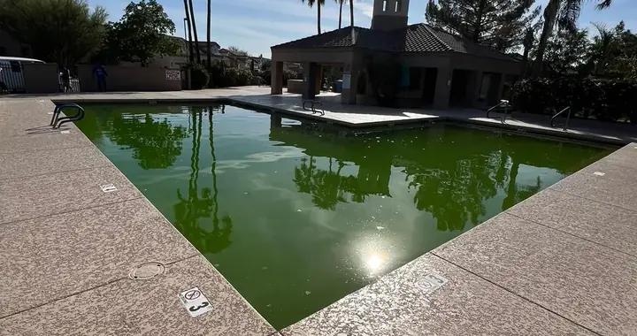 Commercial pool deck with a fresh light coating around the spa and ramada
